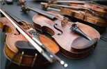 Уход за скрипкой: правила хранения и ухода за инструментом