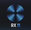 RX 11 logo black small.png
