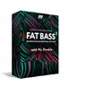 Видеокурс - Fat Bass #2