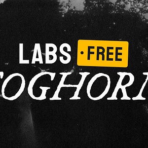 LABS Foghorn — FREE Deep, Dark Brass VST