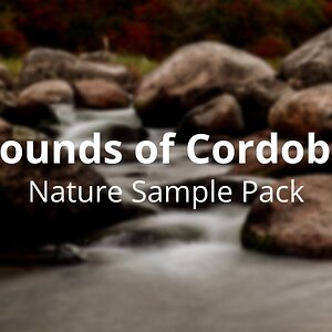 Sounds of Cordoba: Пакет сэмплов природы + плагин